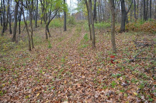 Property photo 11 - 80 Acres & Home - Property Offered in 4 Tracts from 2.3 to 30.0 Acres